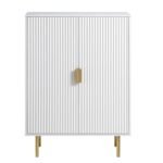 Mango Wood Cabinet 2 Door - Ripped Design with White Finish - Image 2
