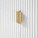 Mango Wood Cabinet 2 Door - Ripped Design with White Finish - Image 14